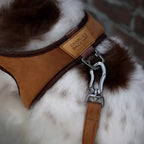 Lightweight Air Mesh Dog Harness product image 9