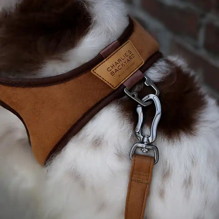 Lightweight Air Mesh Dog Harness product image 9