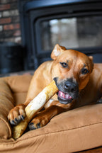 Dog Chew Variety Pack product image 9