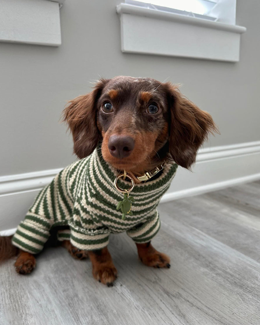 Striped Knit Dog Onesie product image 9