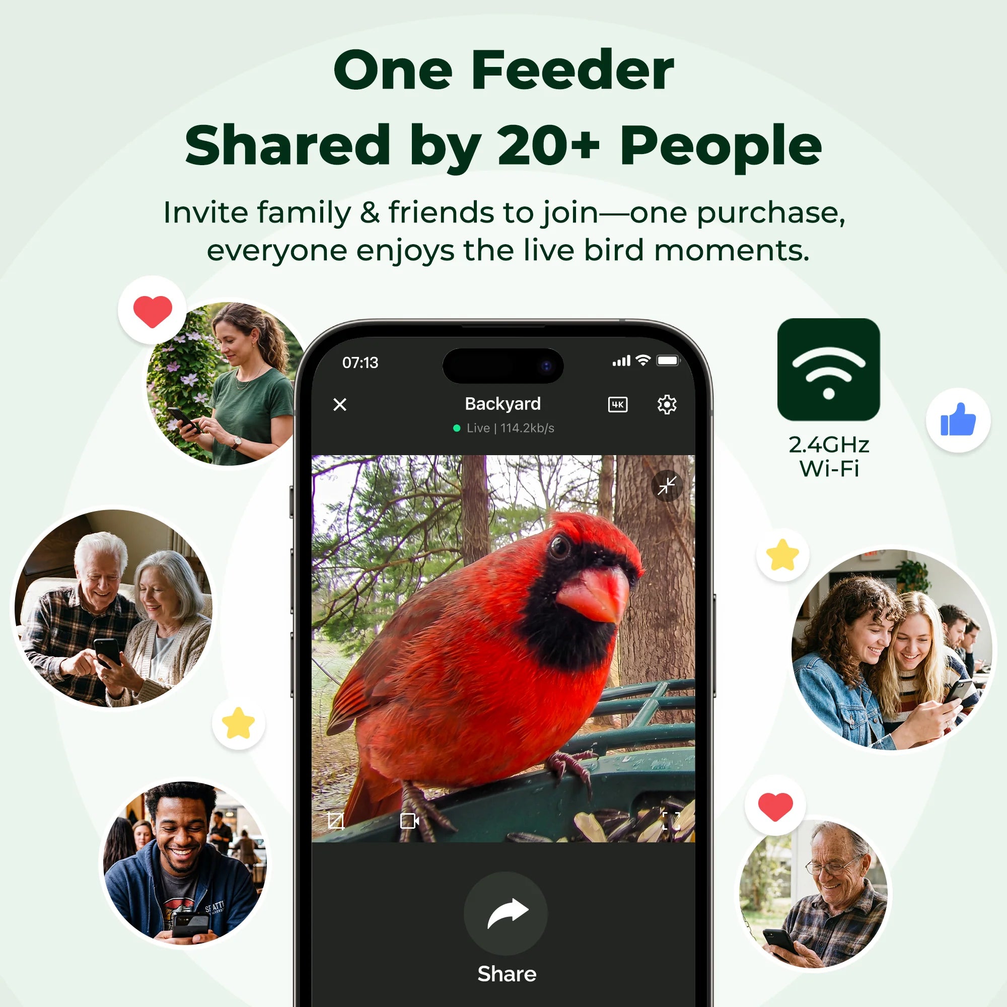 Smart Bird Feeder product image 9