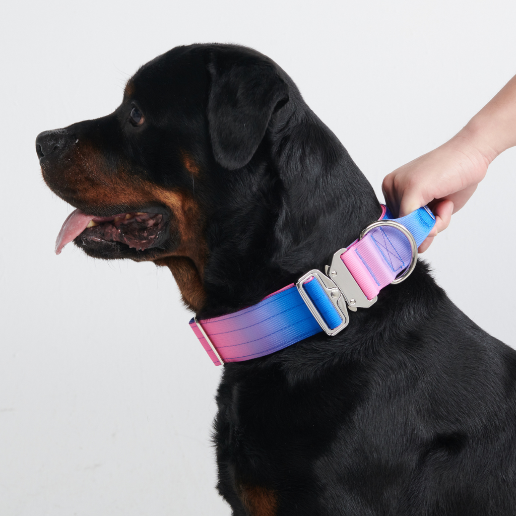 Tactical Dog Collar and Leash Set product image 9