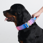 Tactical Dog Collar and Leash Set product image 9