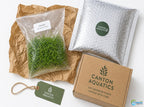 Live Aquarium Plant product image 9