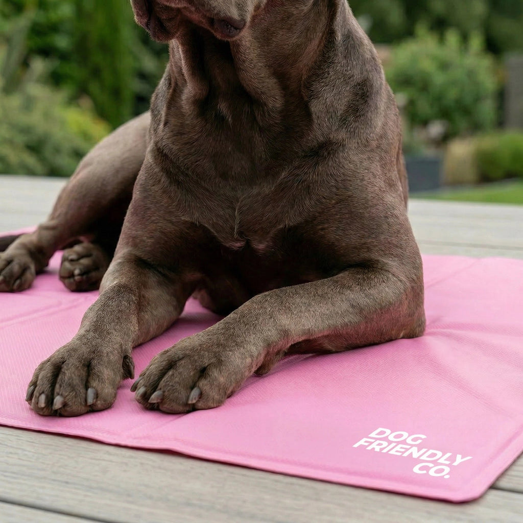 Dog Cooling Mat product image 9