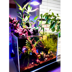 Modular Aquarium Light product image 9