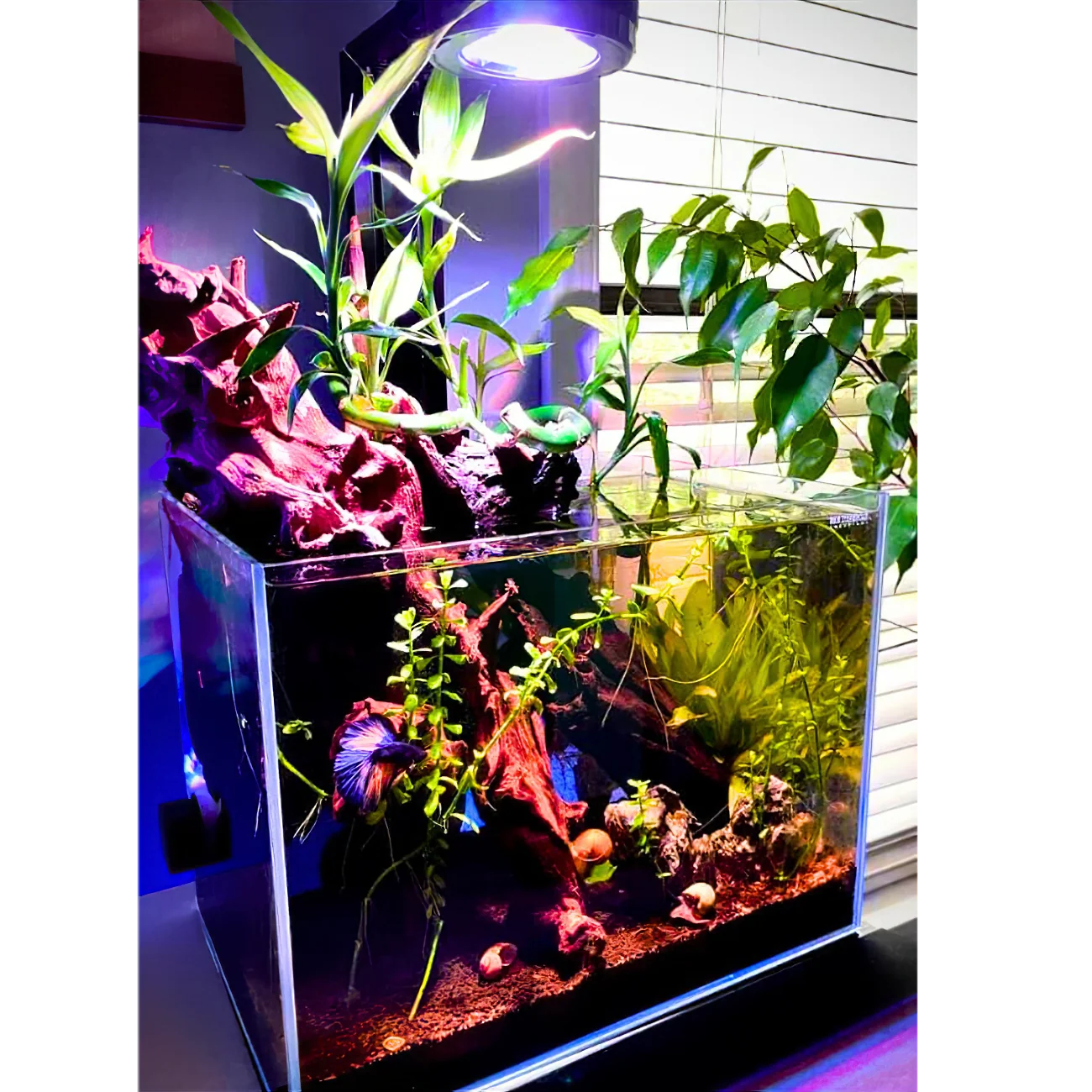 Modular Aquarium Light product image 9