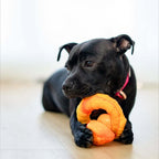Dog Toy Collection product image 9