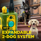 Remote Dog Training Collar product image 9