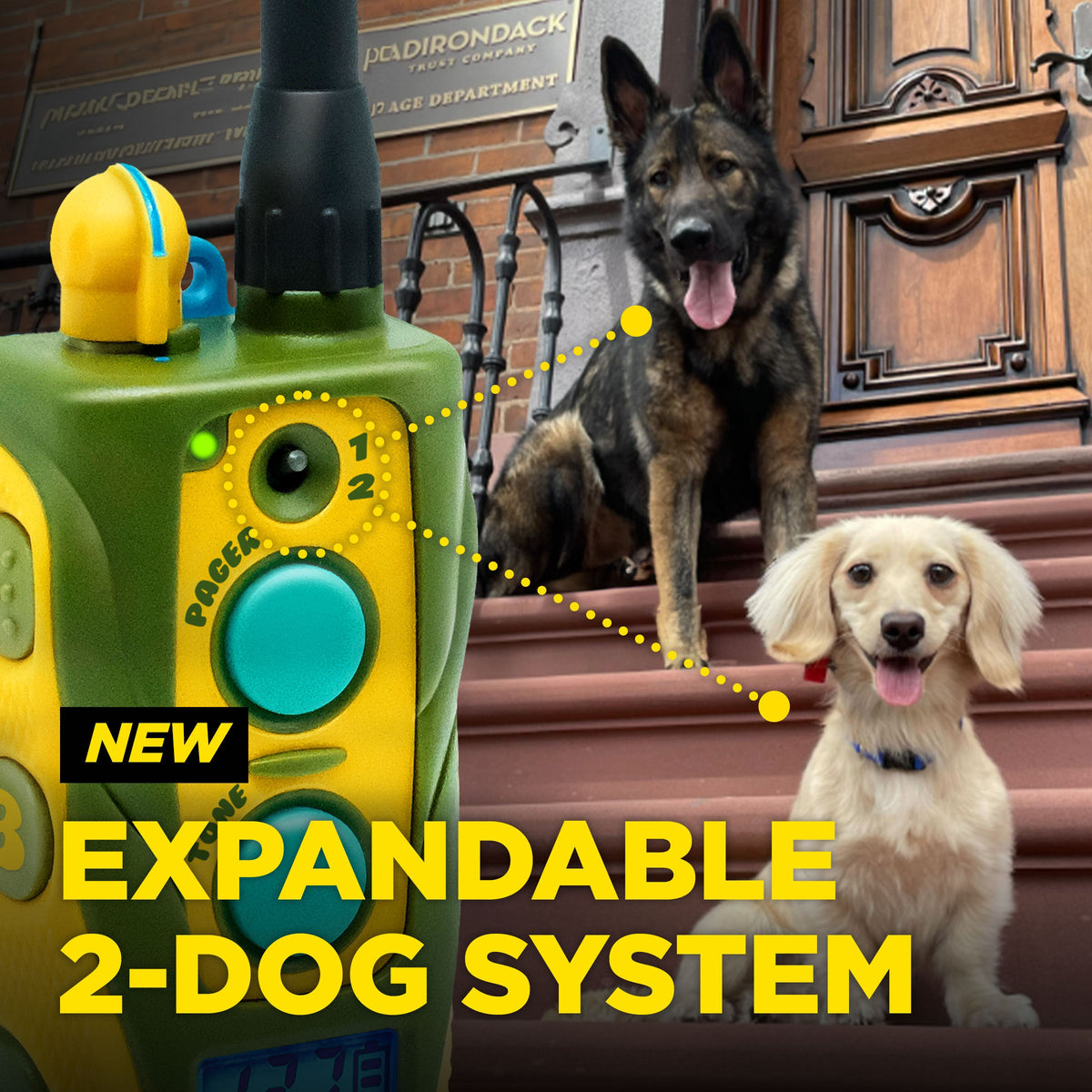 Remote Dog Training Collar product image 9