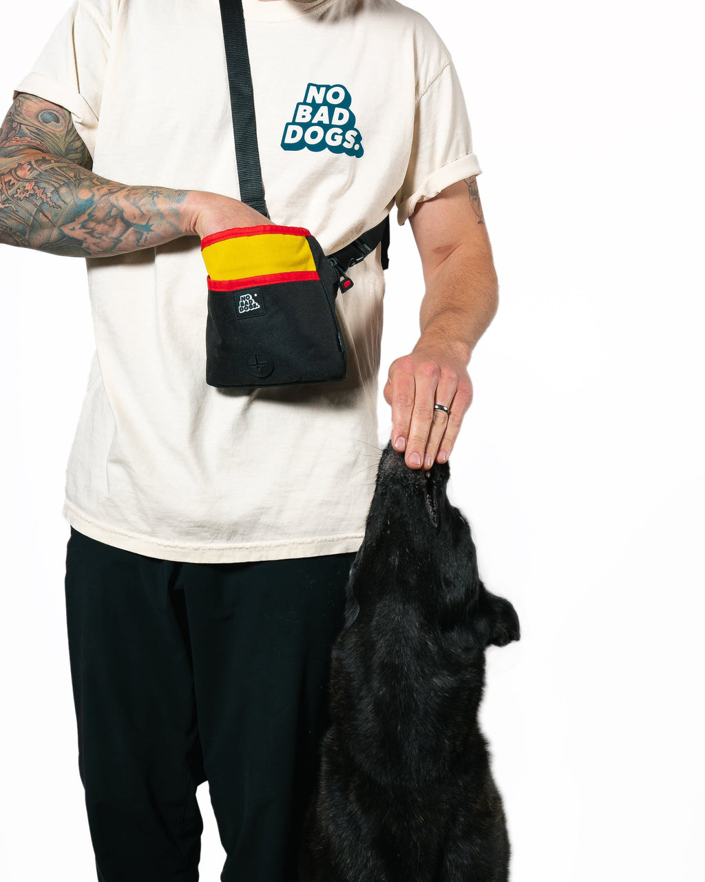 Dog Training Treat Pouch product image 8