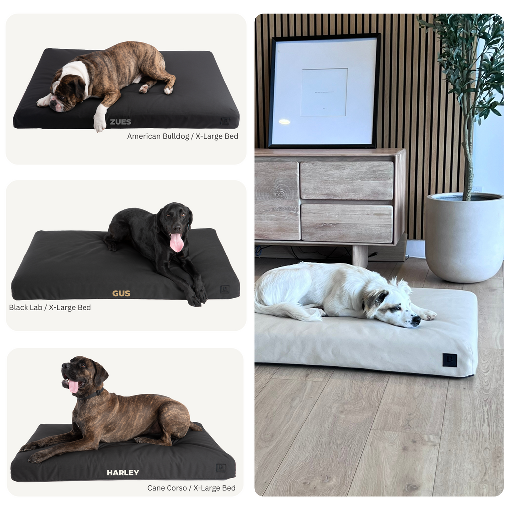 Orthopedic Dog Bed product image 9