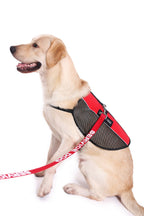 Support Dog Vest Package product image 9