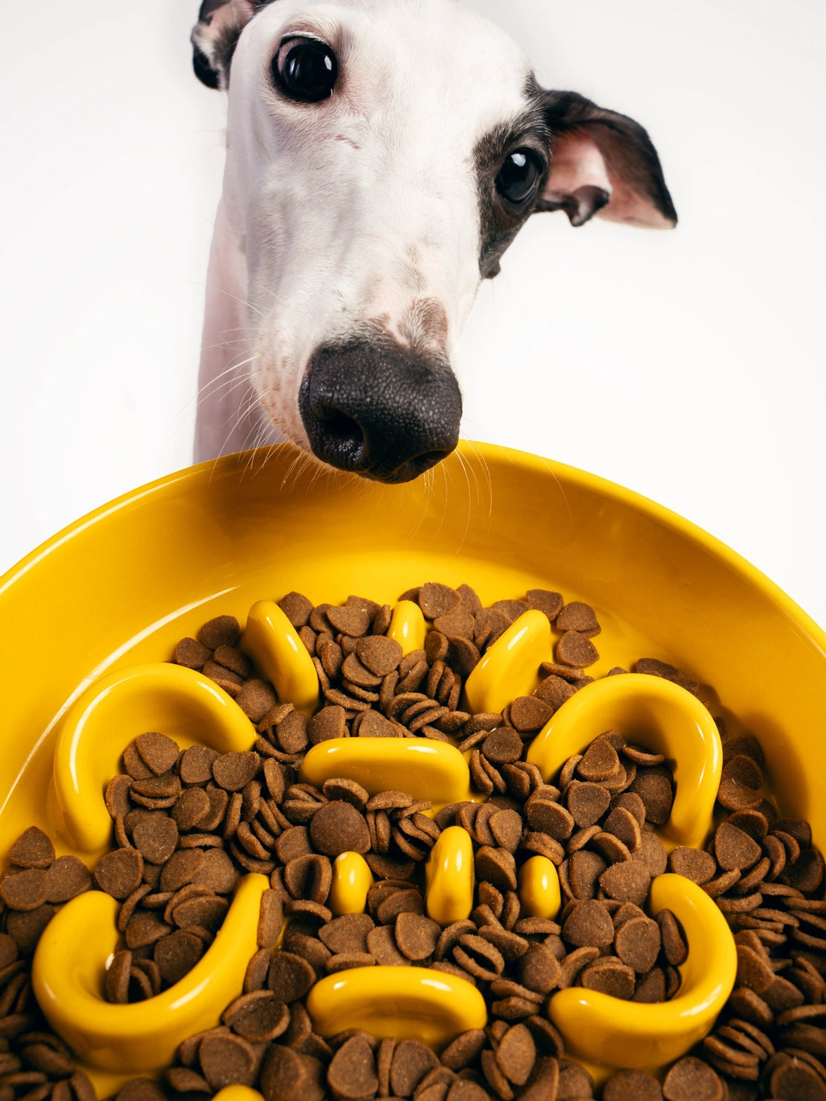 Slow Feeder Bowl product image 9