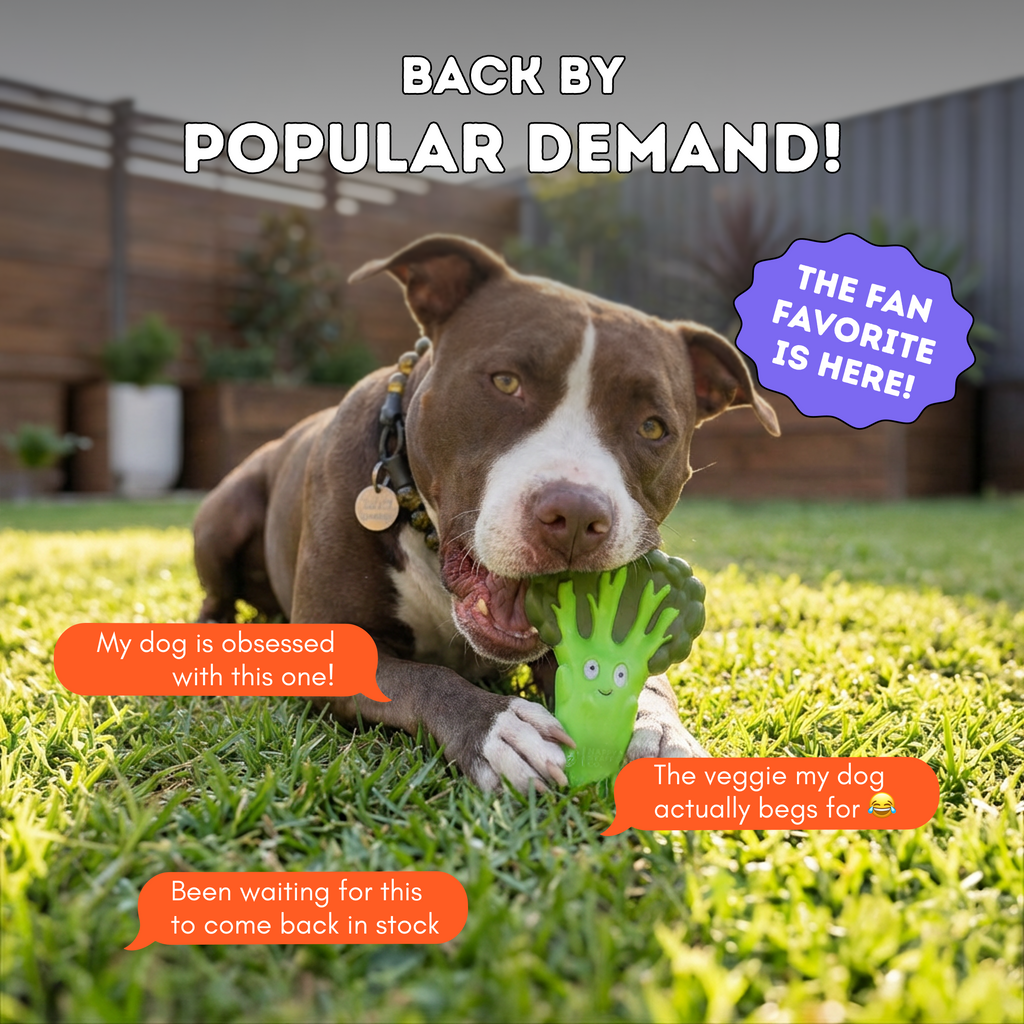Dog Chew Toy product image 9