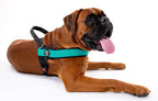 Dog Harness product image 9