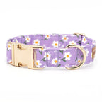 Dog Collar product image 9
