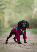Dog Harness product image 9