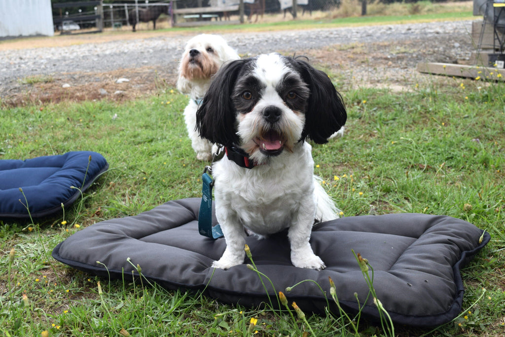 Wool Pet Bed product image 9