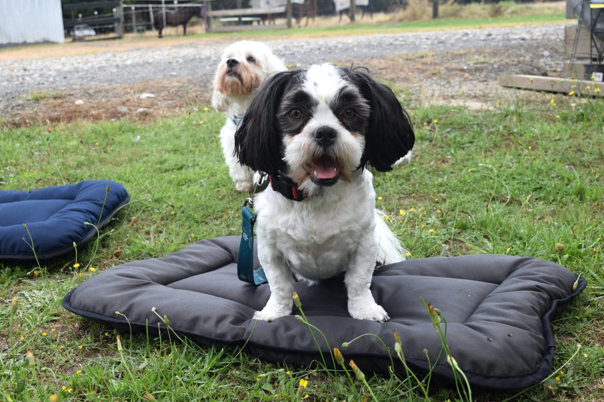 Wool Pet Bed product image 9