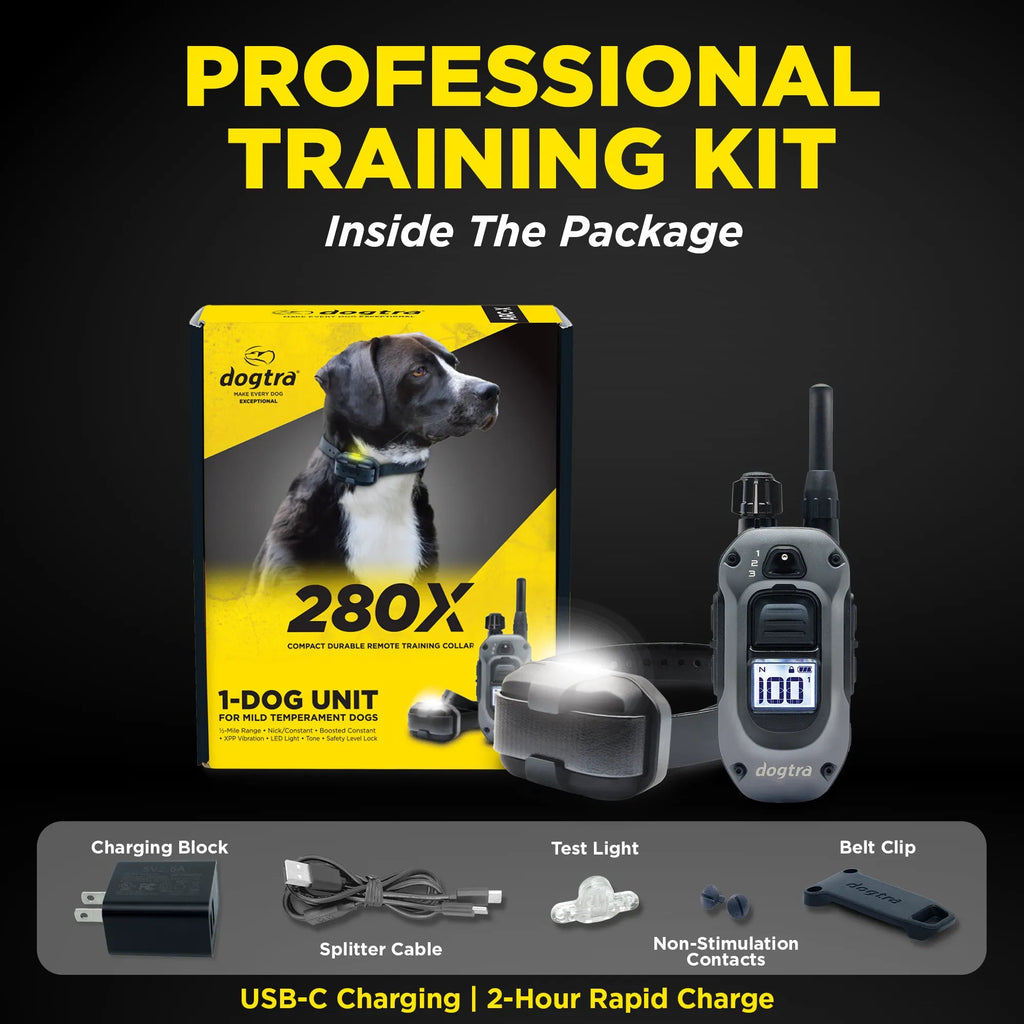 Dog Training Collar product image 9