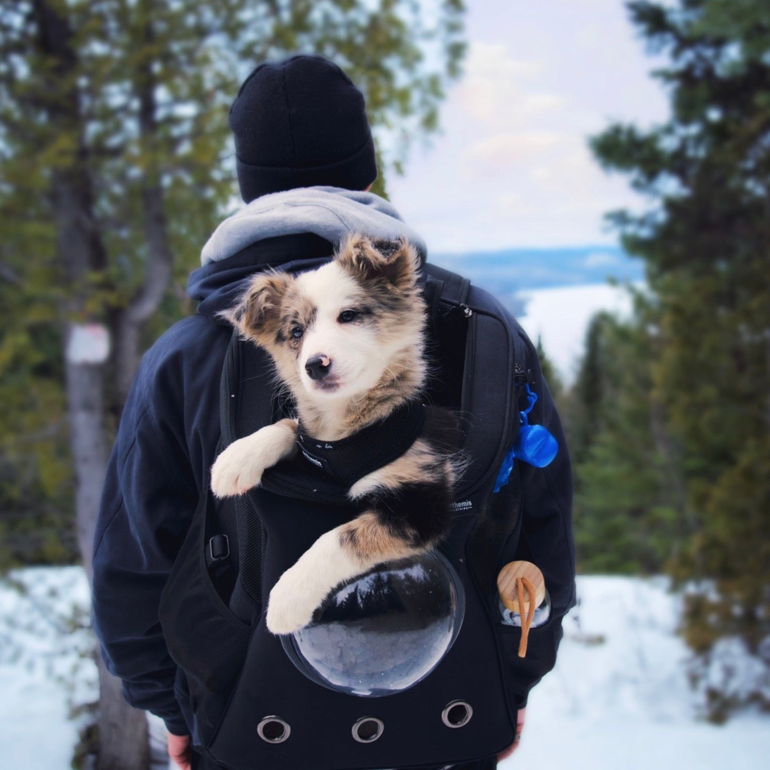 Large Pet Backpack Carrier product image 9