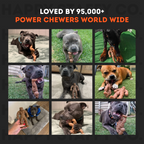 Dog Chew Toy product image 9