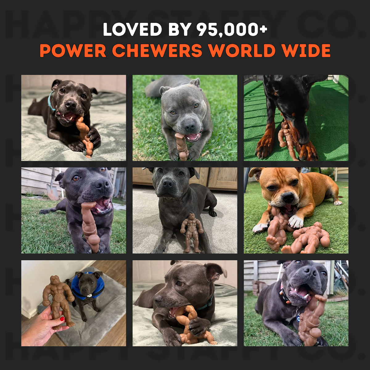 Dog Chew Toy product image 9