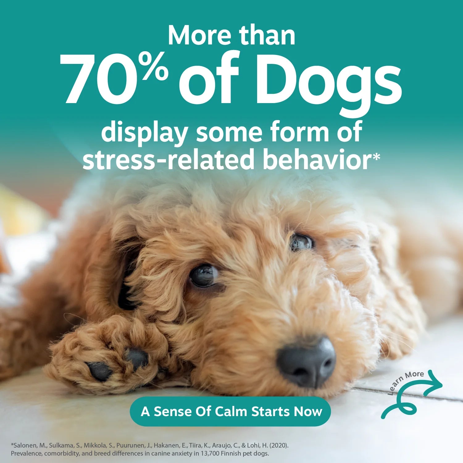 Pet Supplements product image 9