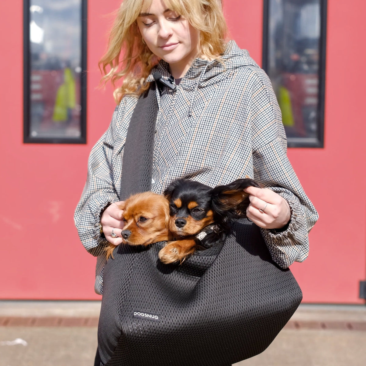 Supportive Dog Carrier Puppy and Small Dog (with Xtra Sturdy Base) / 3D Mesh / Black