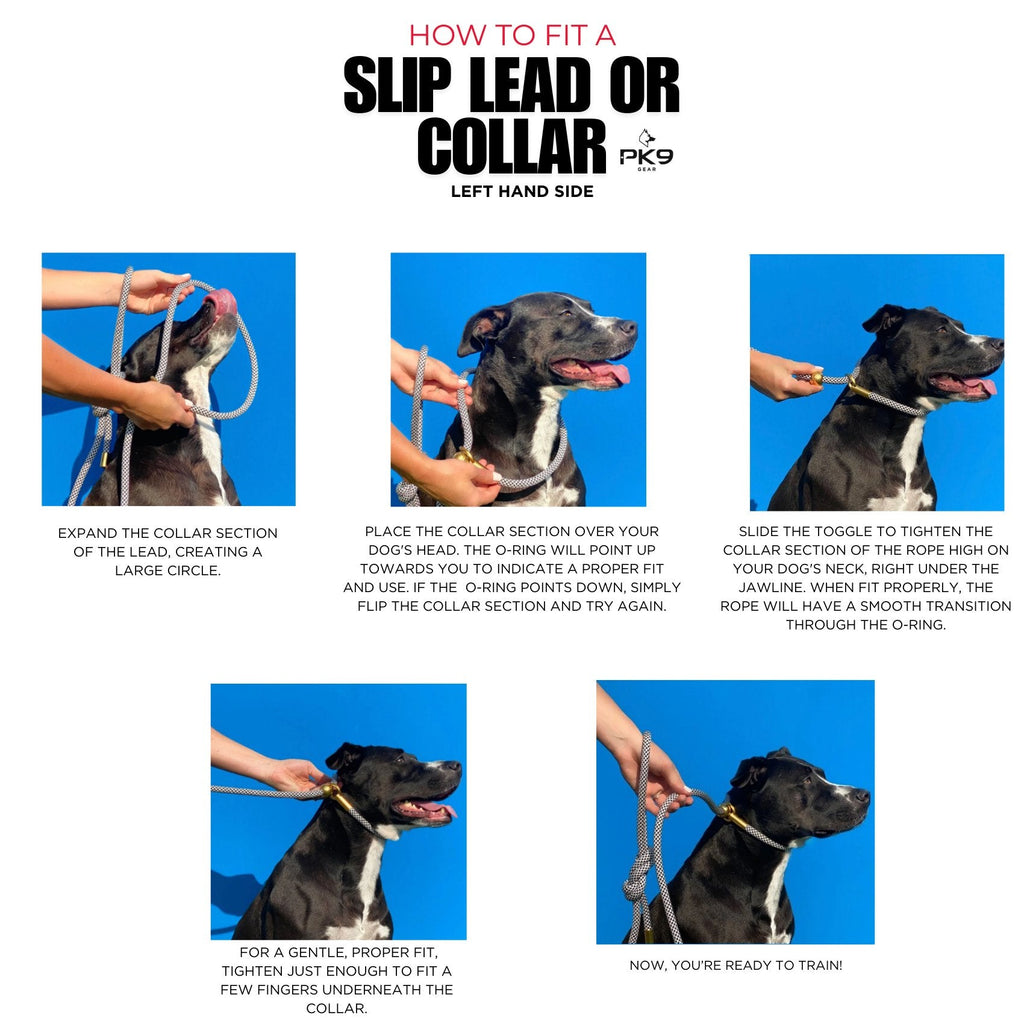 Dog Slip Leash product image 9