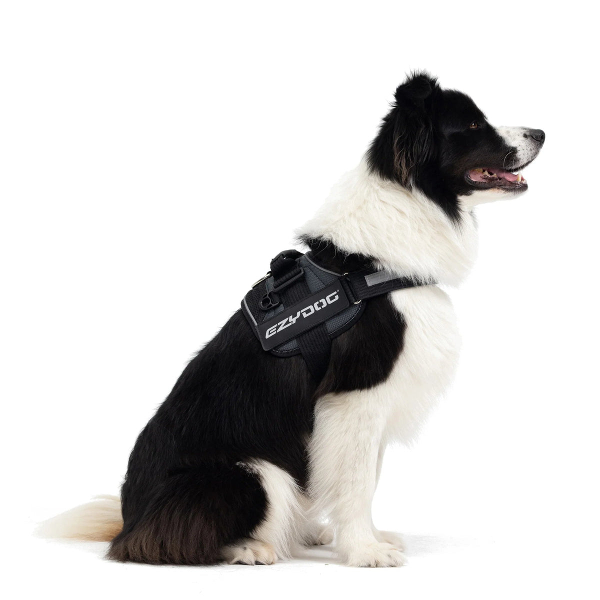 Dog Harness product image 9