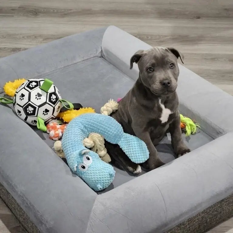 Soccer Ball Dog Toy with Tug Handles product image 9