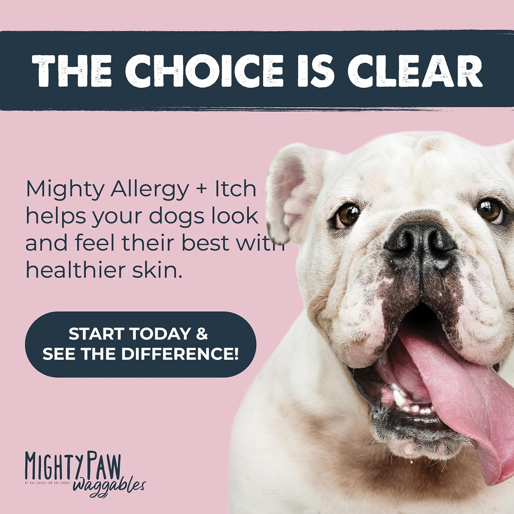 Dog Allergy & Immune Support Chew product image 9
