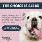 Dog Allergy & Immune Support Chew product image 9