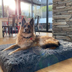 Memory Foam Dog Bed product image 9