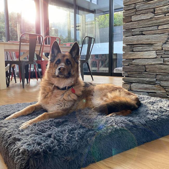 Memory Foam Dog Bed product image 9