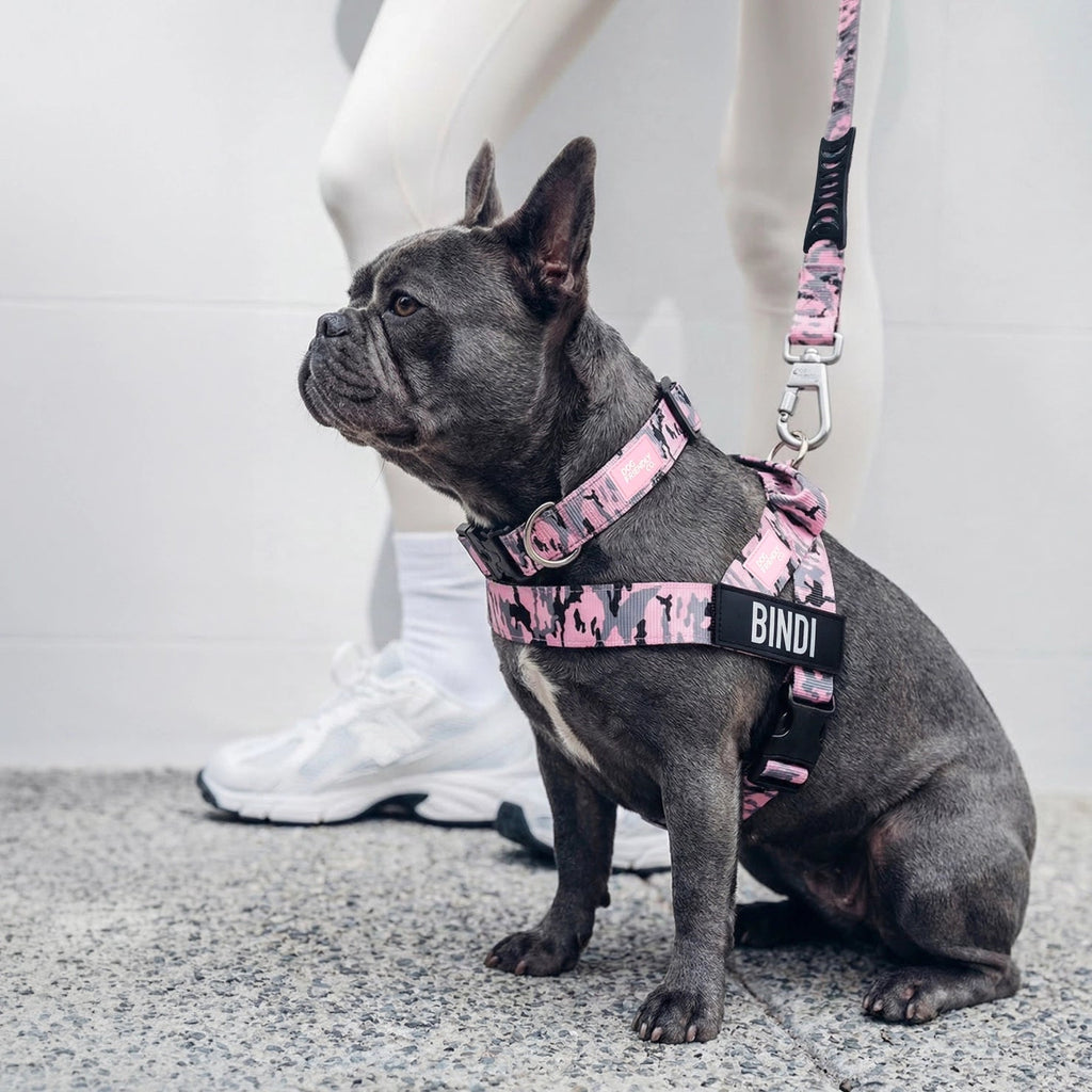 No-Pull Dog Harness and Leash Bundle product image 9