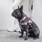 No-Pull Dog Harness and Leash Bundle product image 9