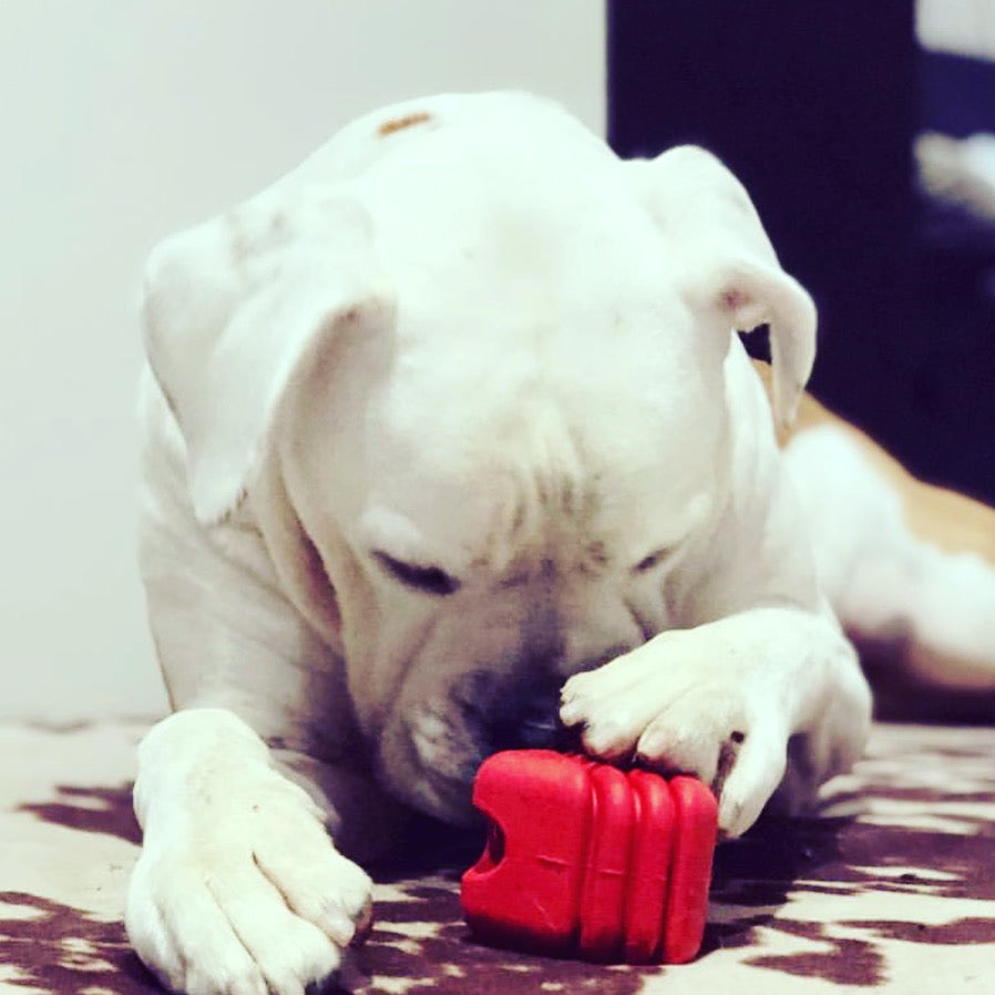 Rubber Dog Toy product image 9