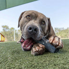 Solid Dog Chew Toy product image 9