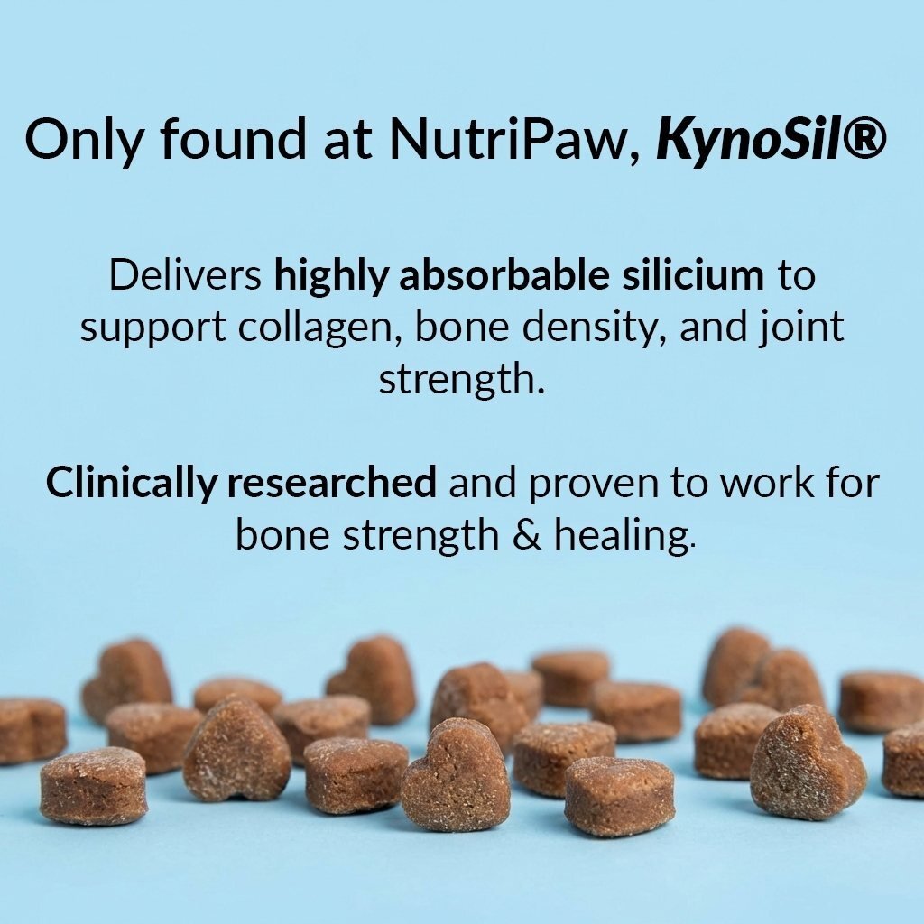 Dog Hip and Joint Support Treats product image 9
