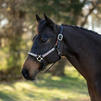 Breakaway Horse Halter product image 9