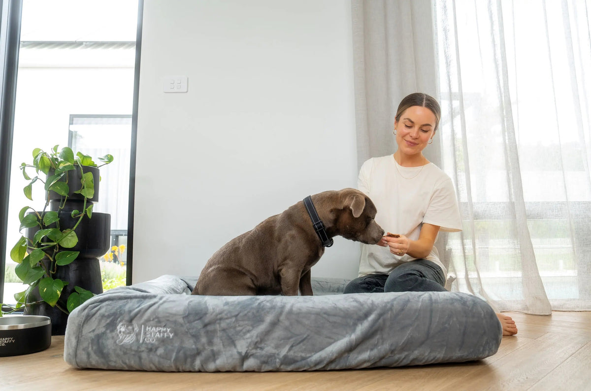 Dog Bed Cover product image 9