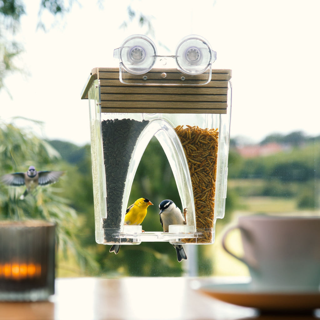 Window Bird Feeder product image 7