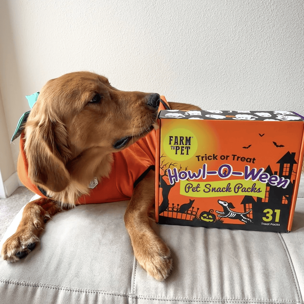 Halloween Dog Treat Box product image 9