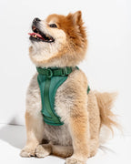 Dog Harness product image 9