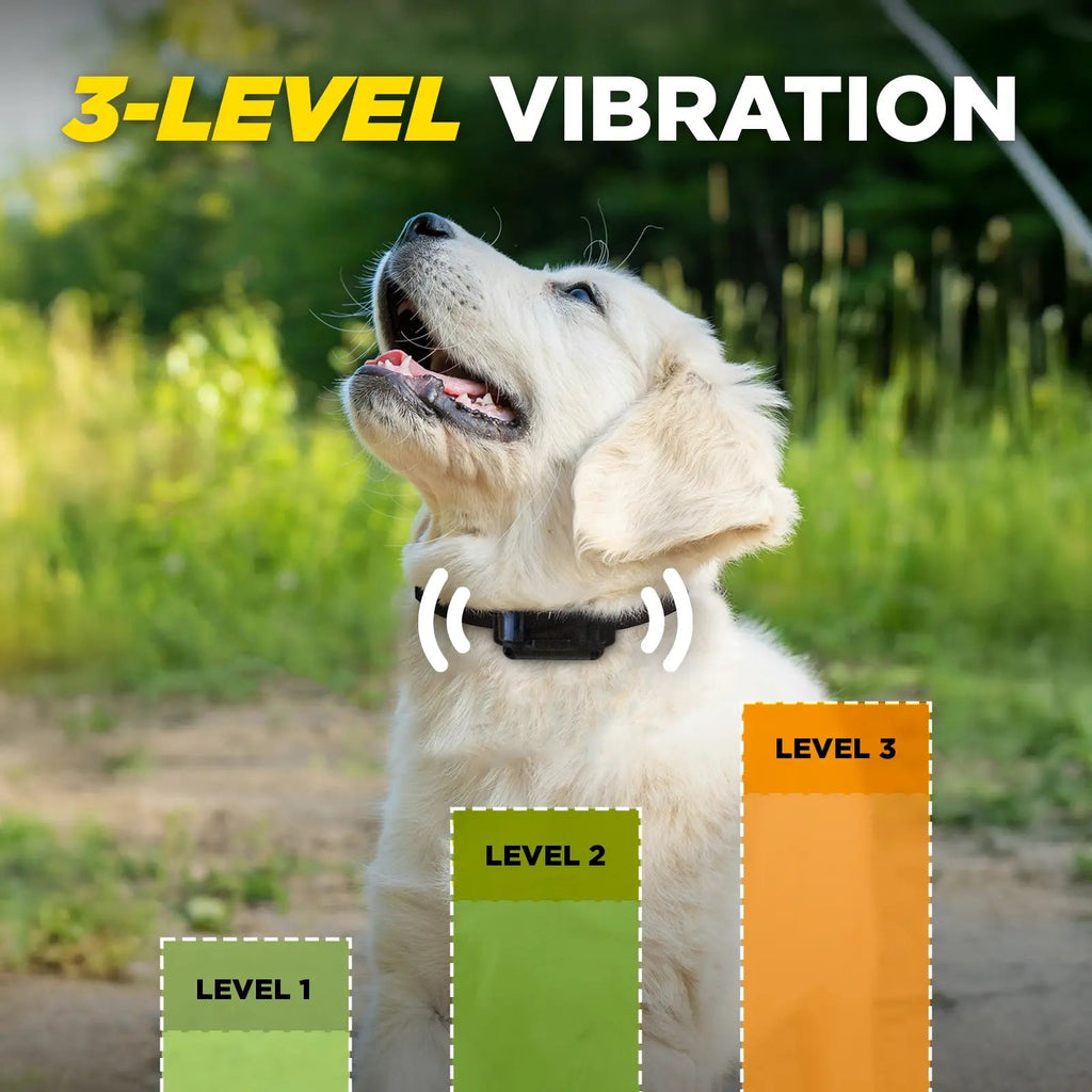 Vibration Bark Collar product image 9