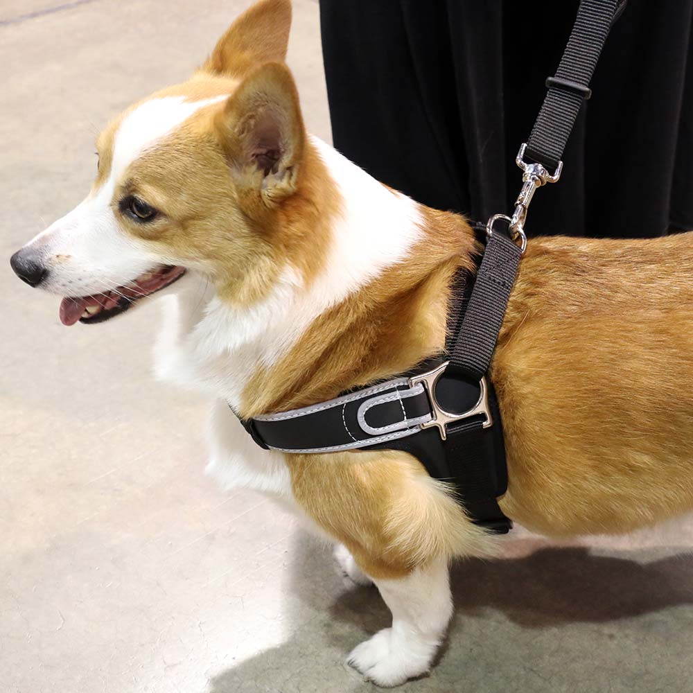 Reflective Martingale No-Pull Dog Harness product image 9
