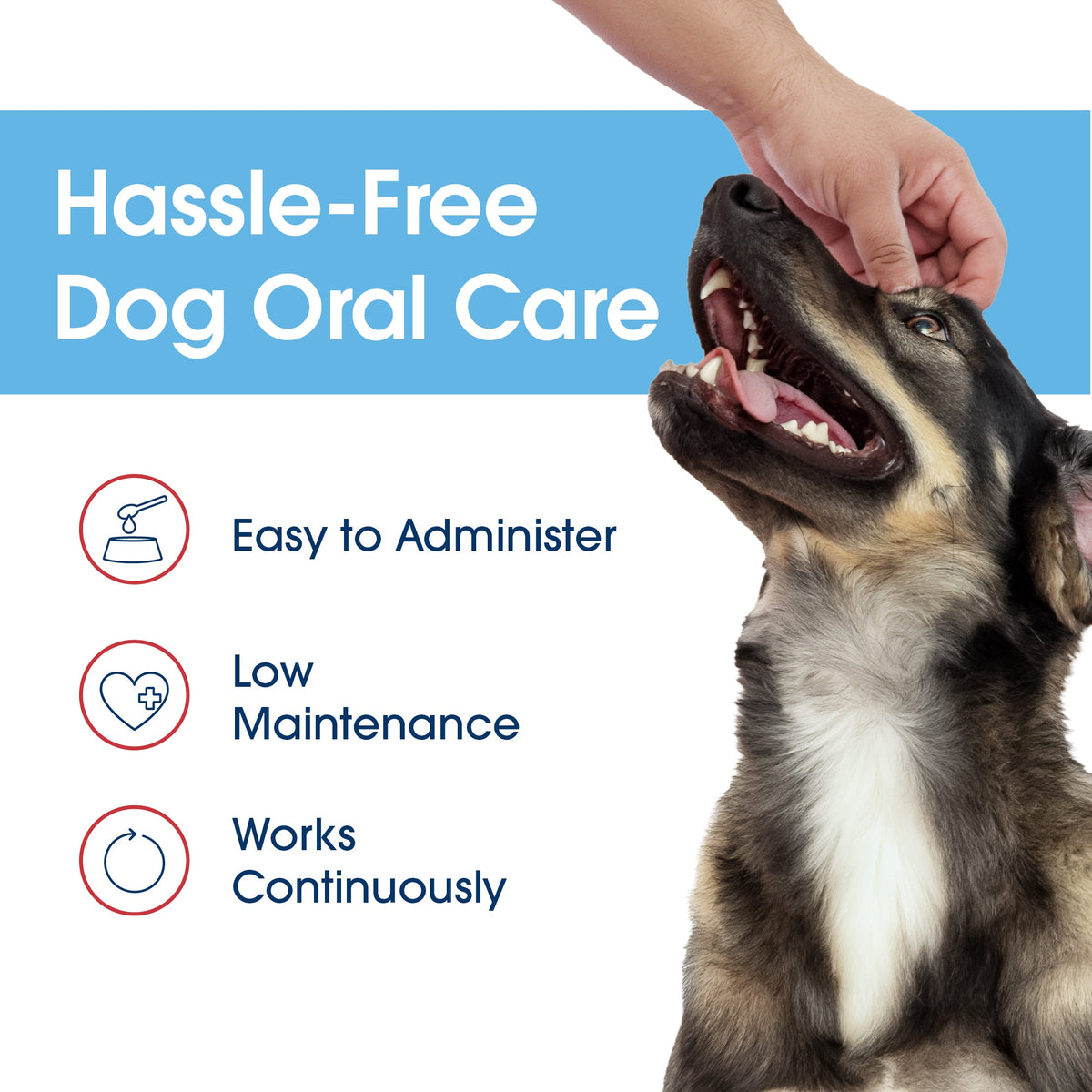 Dog Dental Water Additive product image 9
